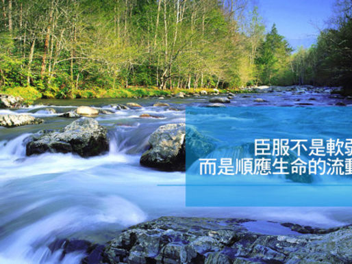 你是「As Is」的「完美」