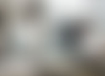 仁道主義的天才政治