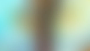 監獄複合體的九個構成要素