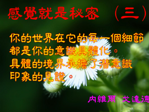 感覺就是秘密 (3)