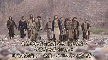 看清程序、接纳情绪