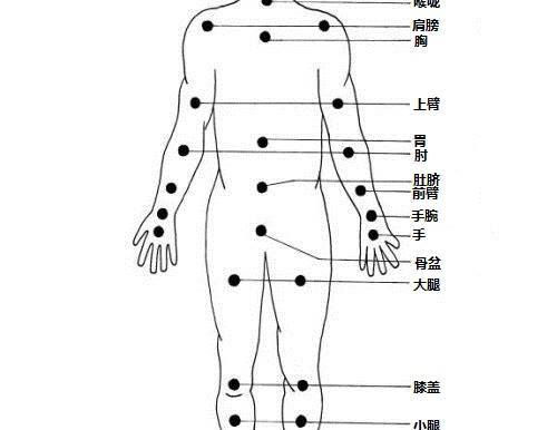 結構化共鳴體 – 8)胃