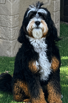 Charlie