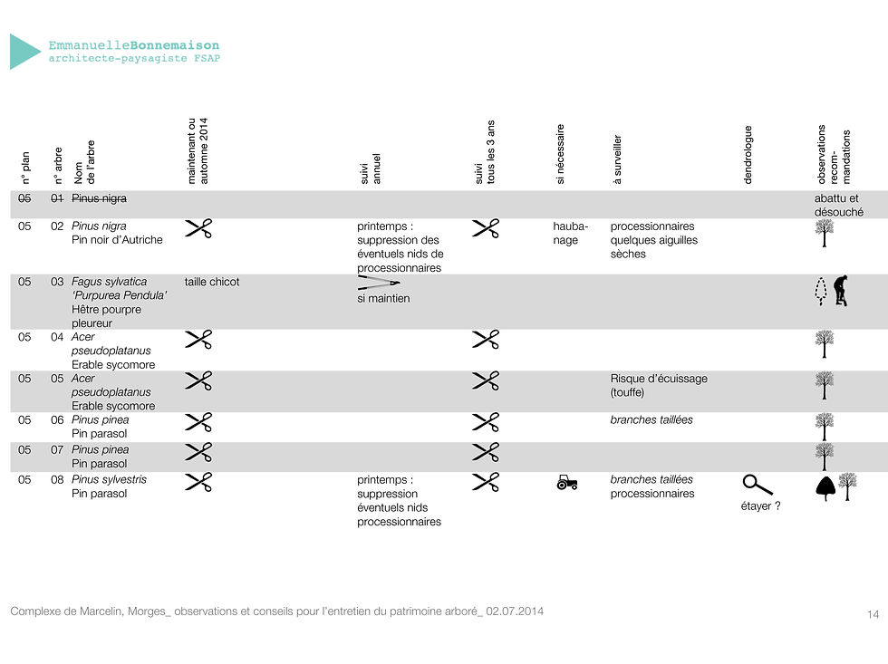 MARCELIN_PATRIMOINE ARBORE_p14.jpg