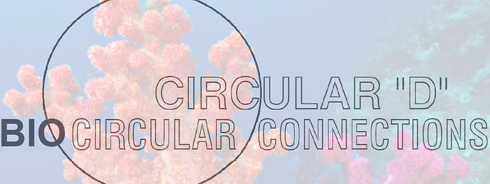 COPERTINA 2026 CIRCULAR D DEF.jpg