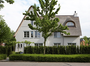 hoek Mollei - Duboislei 1.jpg