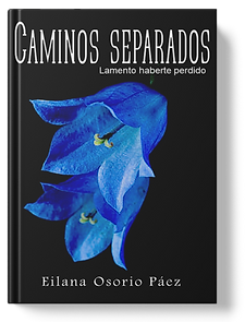 UN LIBRO DE FRENTE 2.png