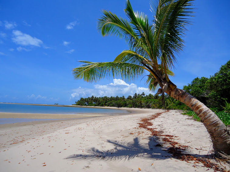 Ponta dos Castelhanos – Ilha de Boipeba