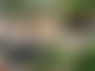 Igatu: história, cultura e muita natureza nesse canto da Bahia