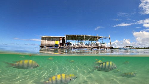 Bar flutuante peixinhos coloridos piscinas naturais Garapuá Ilha de Tinharé