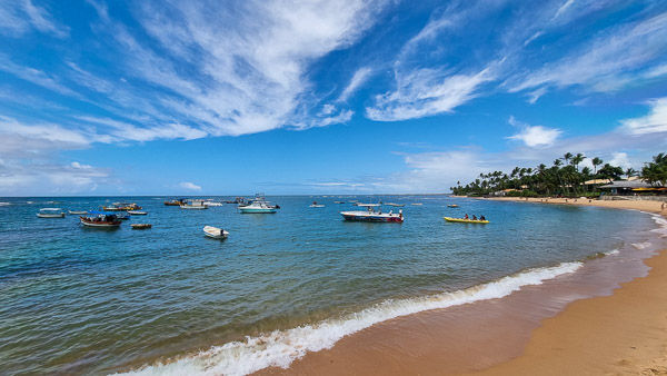 transfer aeroporto salvador praia do forte privativo baia forte bahia terra turismo