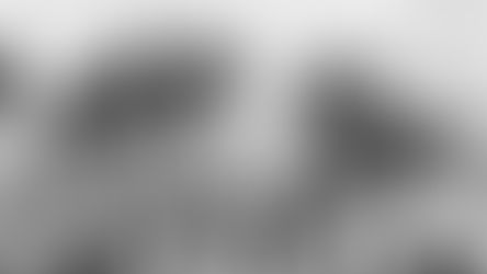 Lampião e Maria Bonita e seu bando