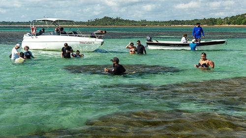 Passeio parado nas piscinas naturais de Moreré - Boipeba