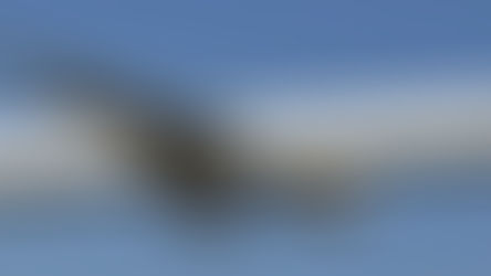 Novos voos para Salvador