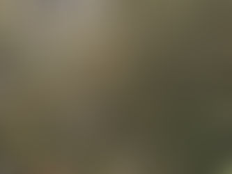 Vindima de Inverno celebra o enoturismo em Morro do Chapéu