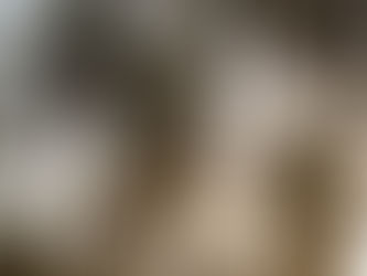 Costa dos Coqueiros: 20 belas praias do litoral norte da Bahia