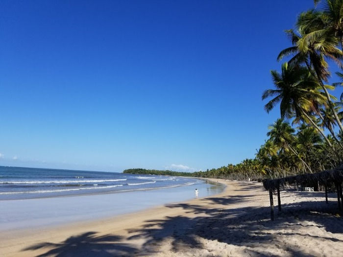 Ilha de Boipeba: guia completo para orientar sua visita