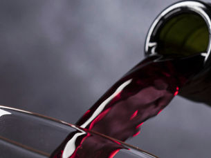 Enoturismo no Vale do São Francisco: conheça a rota do vinho