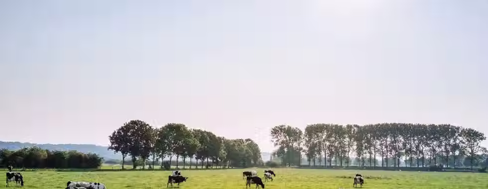 Santo Antônio de Jesus: o que precisa saber antes de visitar
