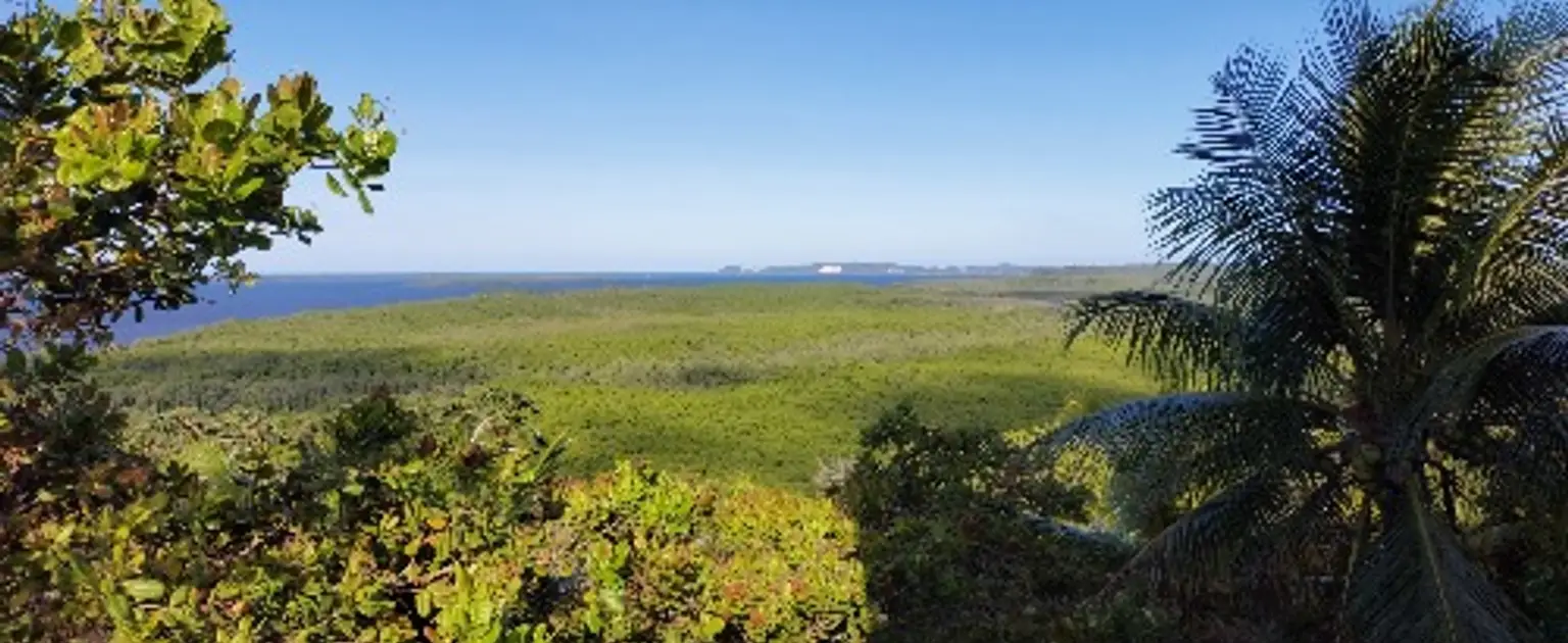 Trilha de Morro de São Paulo para Galeão: tem coragem?