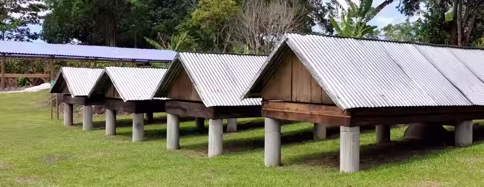 2 fazendas de Cacau para visitar em Ilhéus