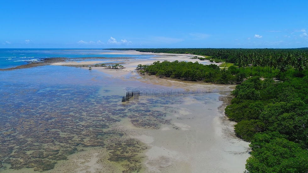 Piscinas Naturais Morro de São Paulo
