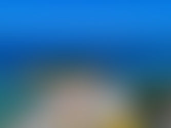 Ilha do Caitá: Um passeio inesquecível para quem visita Morro