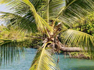 5 lugares para viajar na Bahia com pouco dinheiro