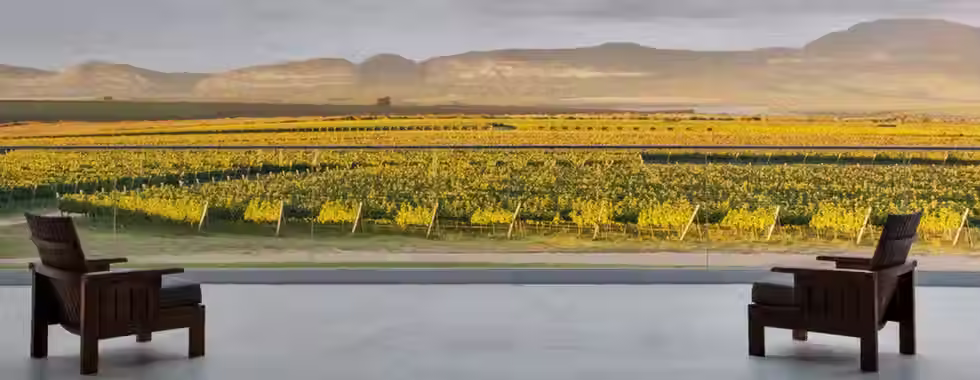 Vinhos da Bahia: conheça 5 sabores locais