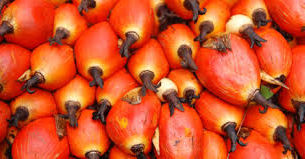 Costa do Dendê: 5 destinos que devem fazer parte do seu roteiro