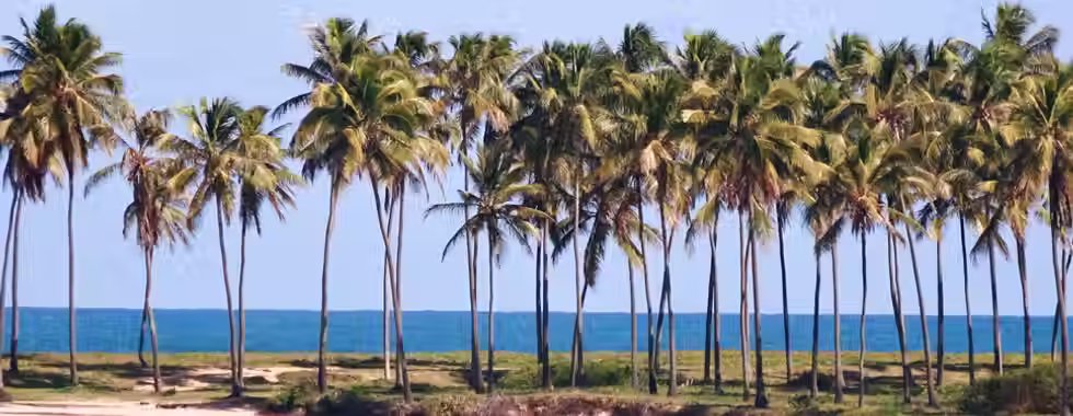 Barra do Jacuípe: saiba mais sobre essa praia de Camaçari