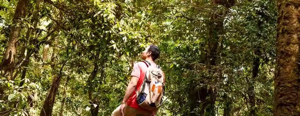 Trekking do descobrimento: de Prado a Porto Seguro a pé