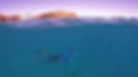 Mergulho com snorkel em Abrolhos