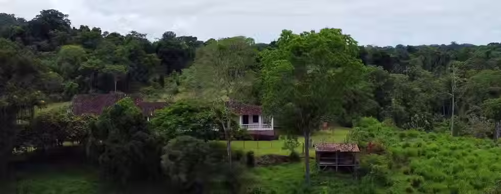 Cabruca: tradição e sustentabilidade no sul da Bahia