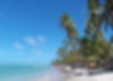 Praia dos Carneiros
