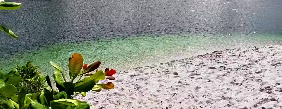 Baixio: conheça esse lugar com belas amostras da natureza