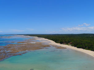 Semana Santa em Morro de São Paulo: confira nossas dicas!