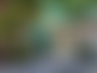 Quadrado de Trancoso: como é e o que fazer nos arredores