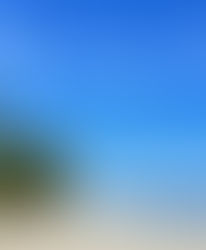 Casinha Latina: conheça esse point em Boipeba