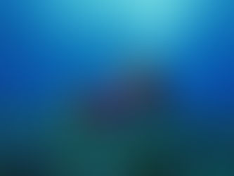 Mergulhando em Salvador Bahia