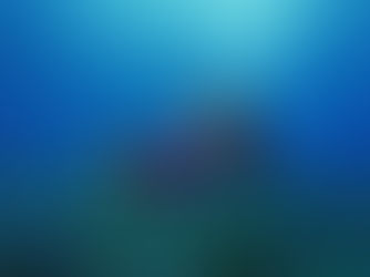 Mergulhando em Salvador Bahia