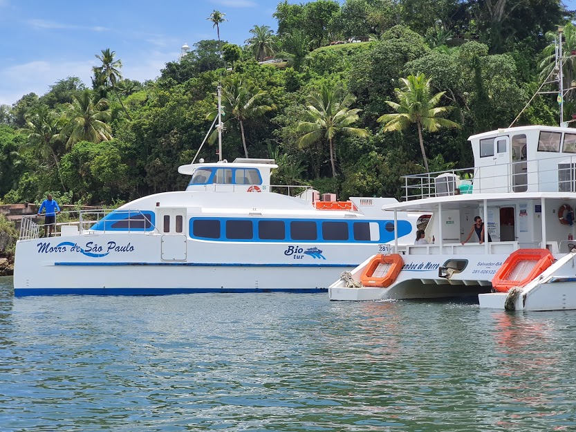 Qual companhia de catamarã para Morro de São Paulo devo escolher? Qual companhia de catamarã para Morro de São Paulo devo escolher?
