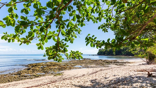 Mar calmo e corais na Praia do Outeiro - Boipeba