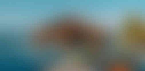 Pousada Dona Moca - Quiosque