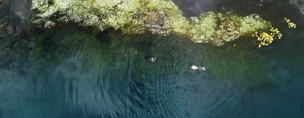 Nova Redenção: refúgio na Chapada Diamantina