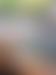 3 pousadas de luxo em Boipeba