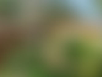 Itacaré Bahia: Conheça o imperdível, restaurante Café com Cacau