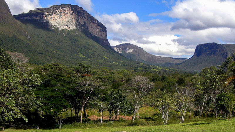 floresta e vales de fundo no capao chapada diamantina