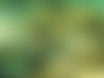 3 tipos de mergulho em Boipeba que pode fazer