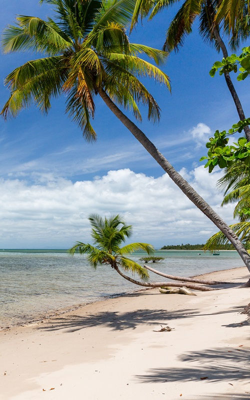 Ilha de Boipeba destino seguro pessoas trans